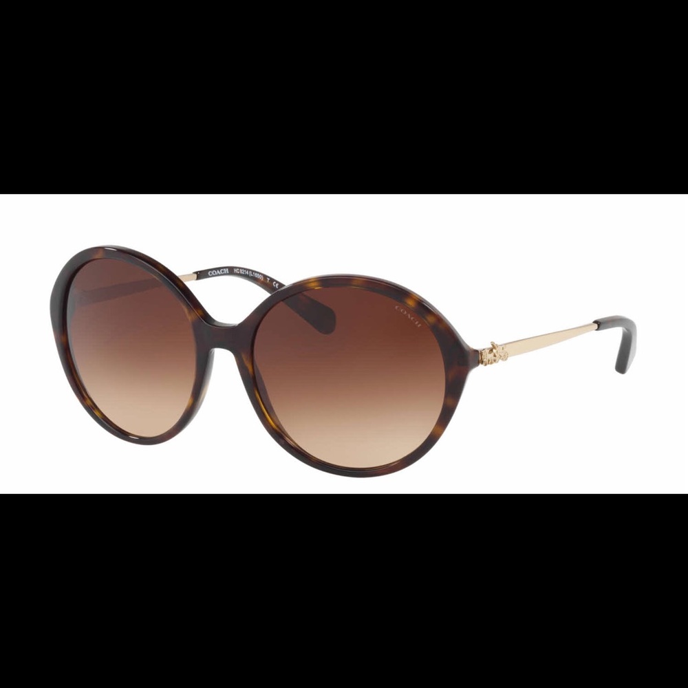 Coach HC8214 sunglasses